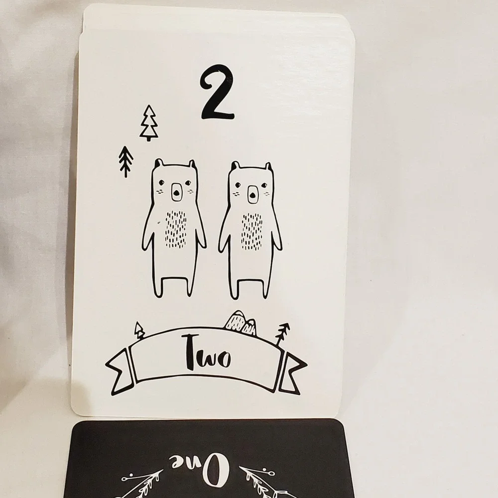 Animal Alphabet Number Cards Yolo Kids Educational Box Has Issues‎